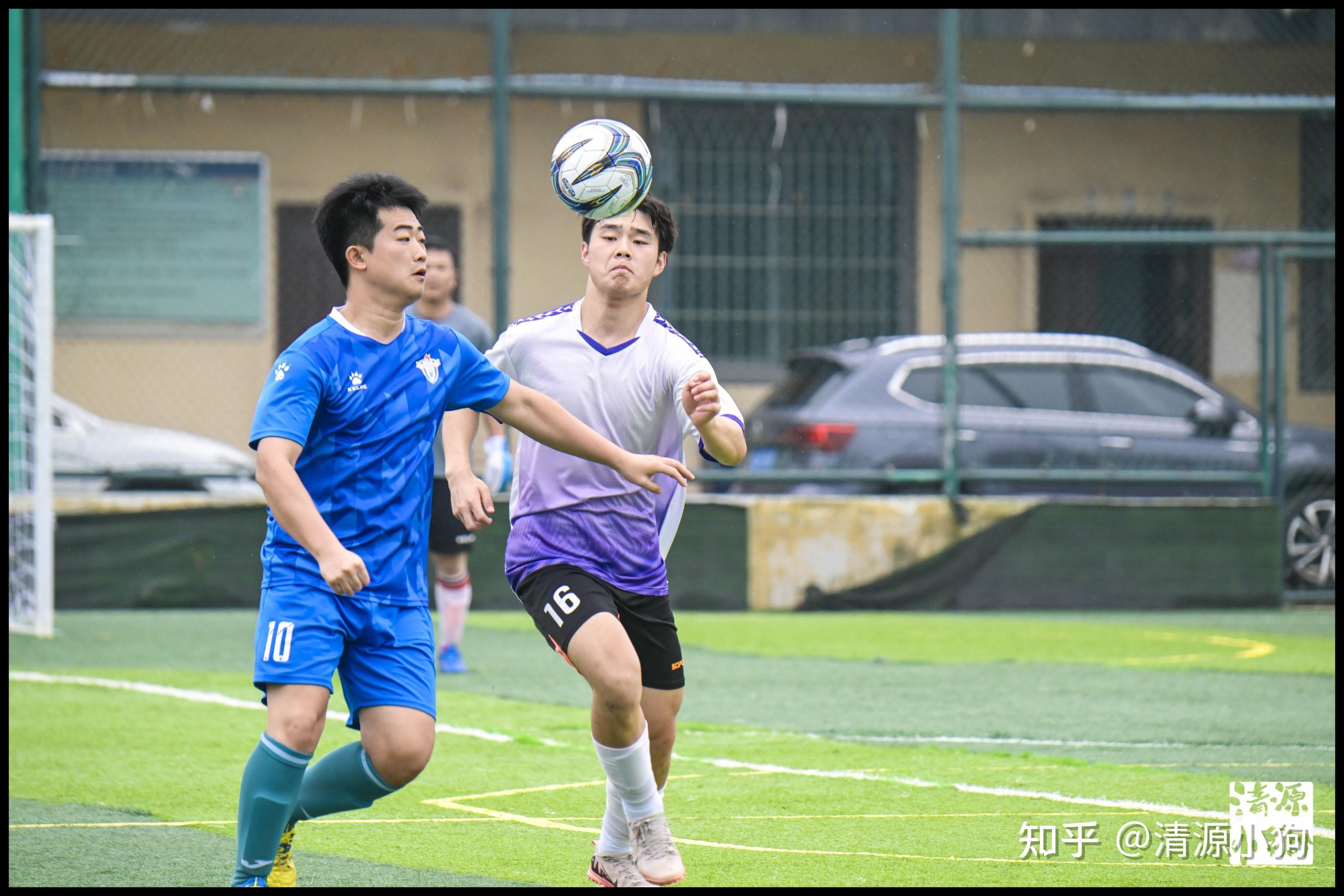 这一球不仅 这一球不仅